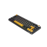 10005